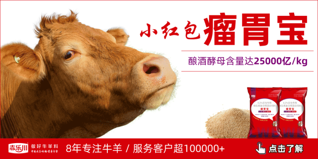 2025年全球羊肉市场大涨价!羊周期爆发,成本上涨引关注