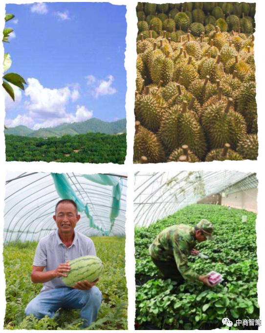 水果店选品策略_水果店经营技巧_创业水果店人员安排