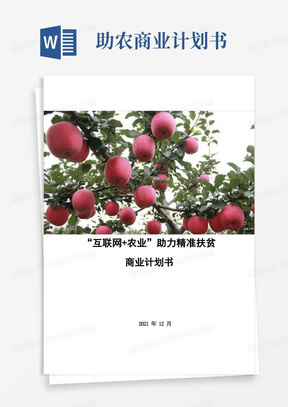 “互联网+农业”助力精准扶贫项目商业计划书