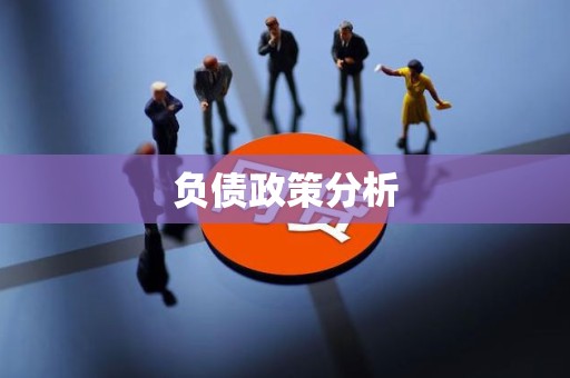 负债政策分析