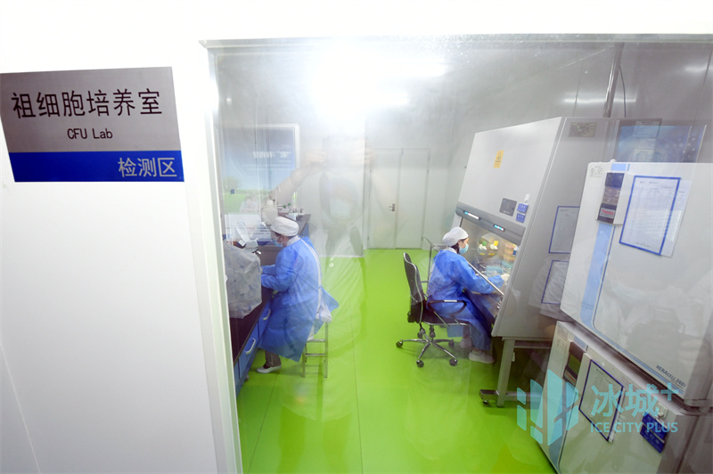 生物经济核心产业_哈尔滨普济健康科技发展有限公司_哈尔滨生物医药产业发展