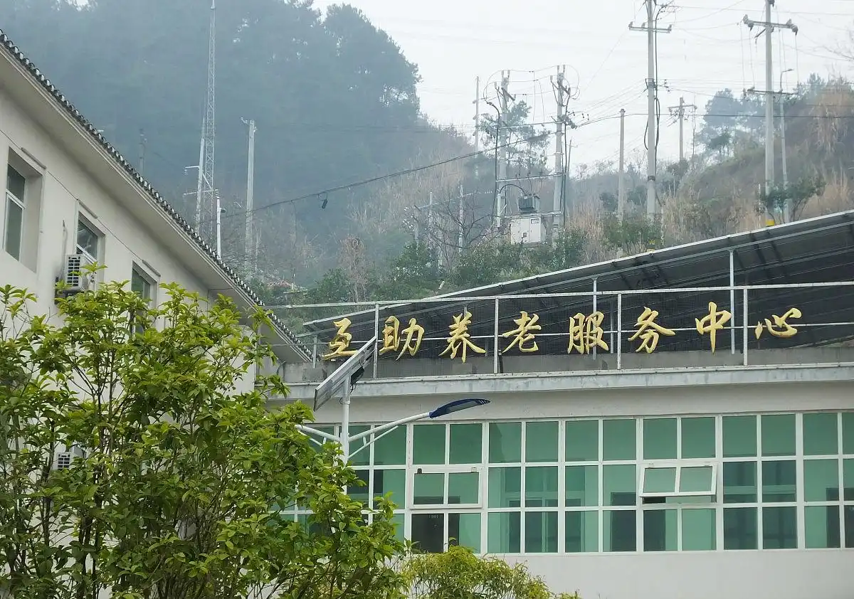 农村创业项目_农村电商市场前景_农村小投资创业好项目大全