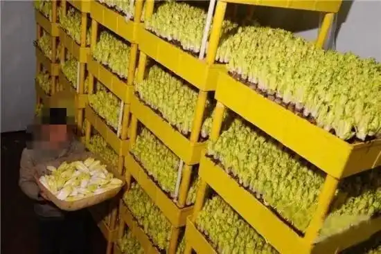 农村劳务承包公司_农村红白喜事一条龙服务_农村小投资创业好项目大全