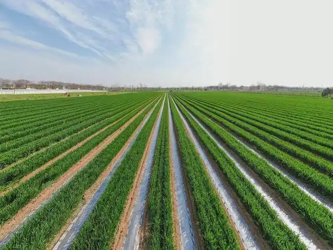 农村小包工头_农村小投资创业好项目大全_农产品销售代理人