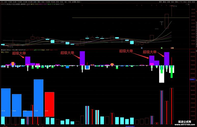 2月21日超大单资金流入前19股，次日走势分析来了