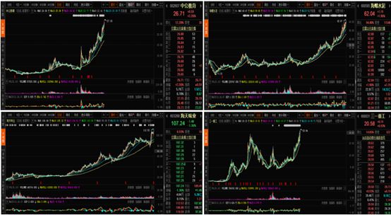 独一无二！ 4只个股盘中创历史新高，机构持仓高度集中或为主因