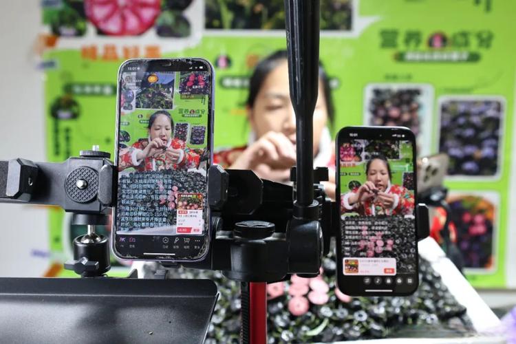 产业带中小商家扶持_淘宝直播店_农村淘宝能帮人卖东西吗