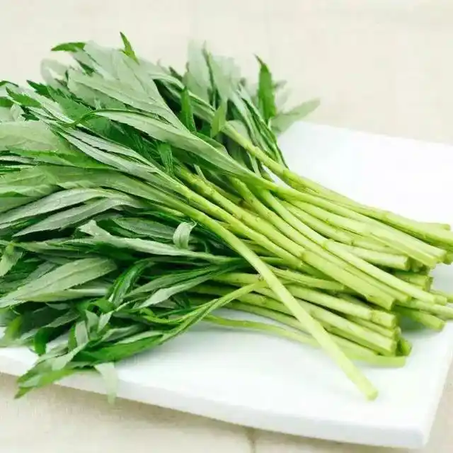 农村妇女想致富有什么好项目_农村种植野菜创业_高收益低投入野菜种植