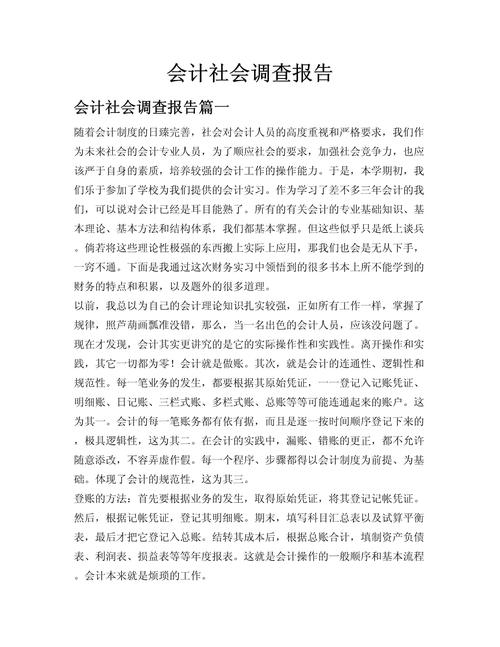 会计社会调查报告选题