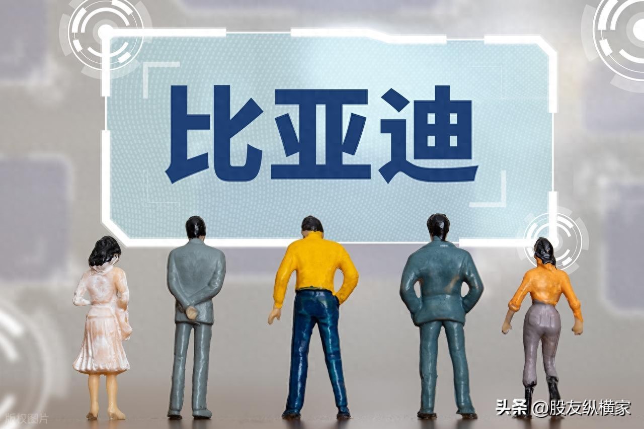 比亚迪股票强势上涨原因揭秘,附十年走势图分析思路