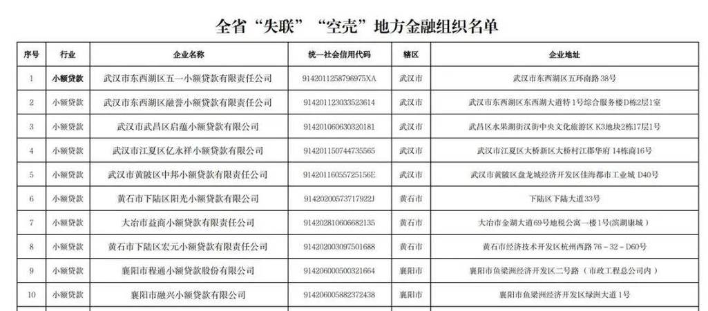 上海短期小额贷款_湖北小贷公司清退名单_2026年小额贷款行业监管清理