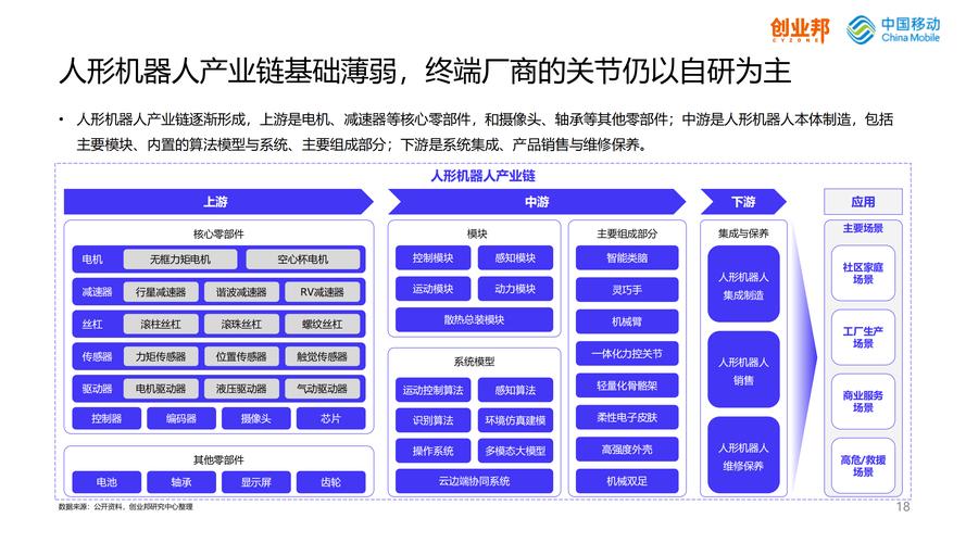 人形机器人行业细分龙头，投资亮点与产业链全解析