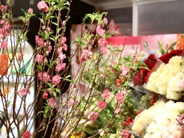 鲜切花市场升温_哪些鲜花网站销售量好_小众花材销量增长