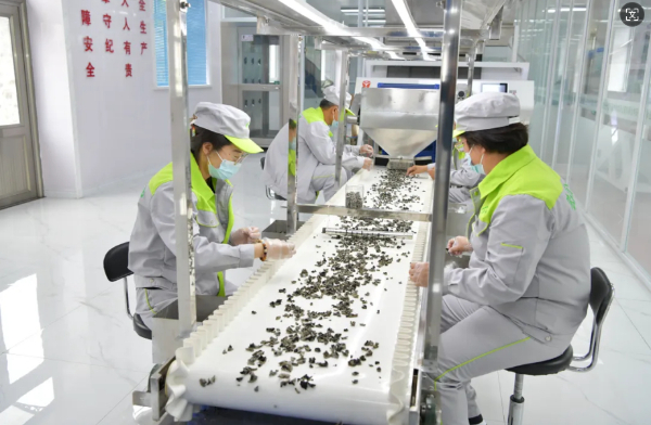 绥阳林区木耳丰收节_年黑木耳价格行情走势 黑木耳_绥阳林区绿色发展产业展