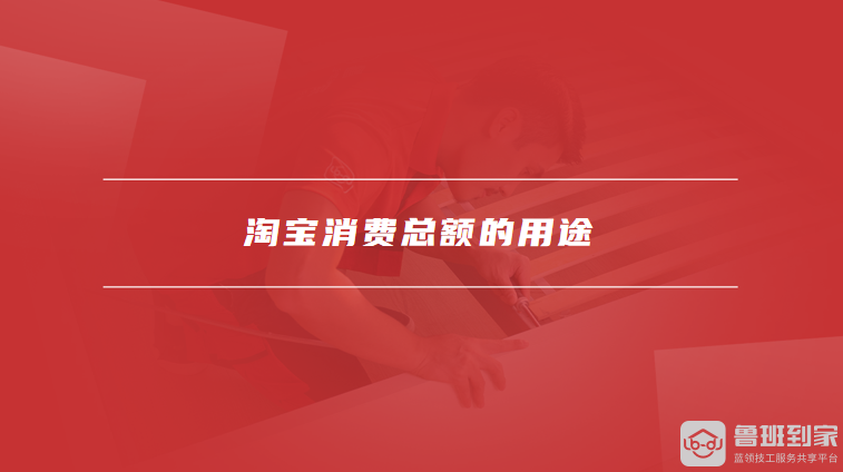 淘宝消费总额的用途