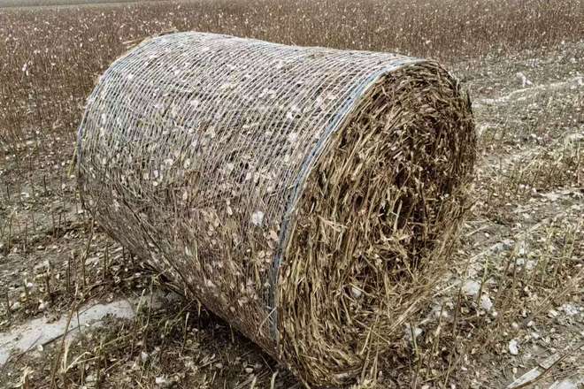 农村秸秆利用创业项目痛点解析，这些技术方案超厉害