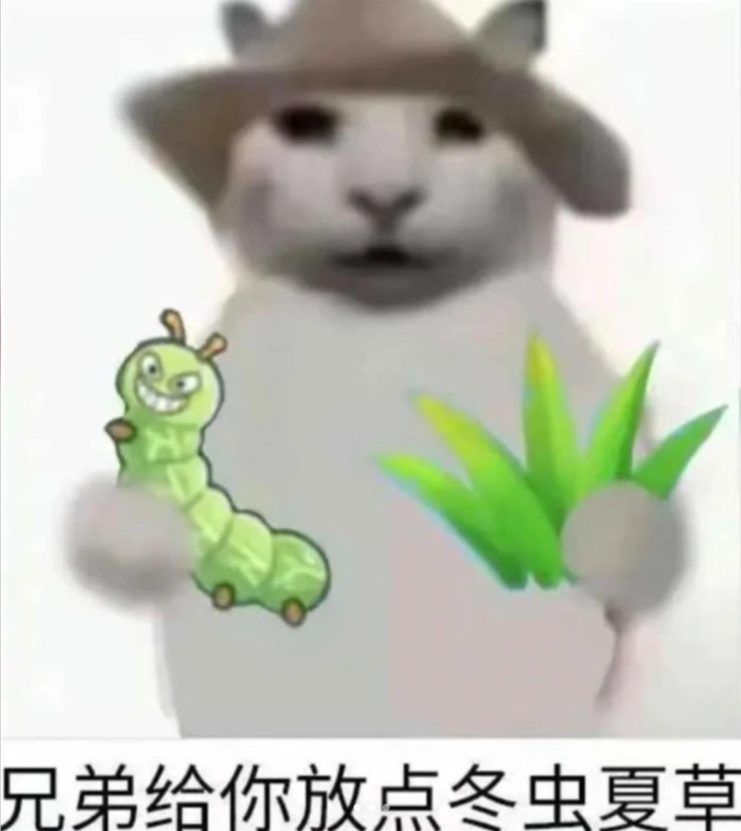 qq农场能赚人民币吗_QQ经典农场 偷菜 网络现象