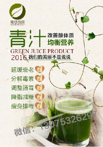 微商新手选啥产品赚钱？跟对团队才是关键