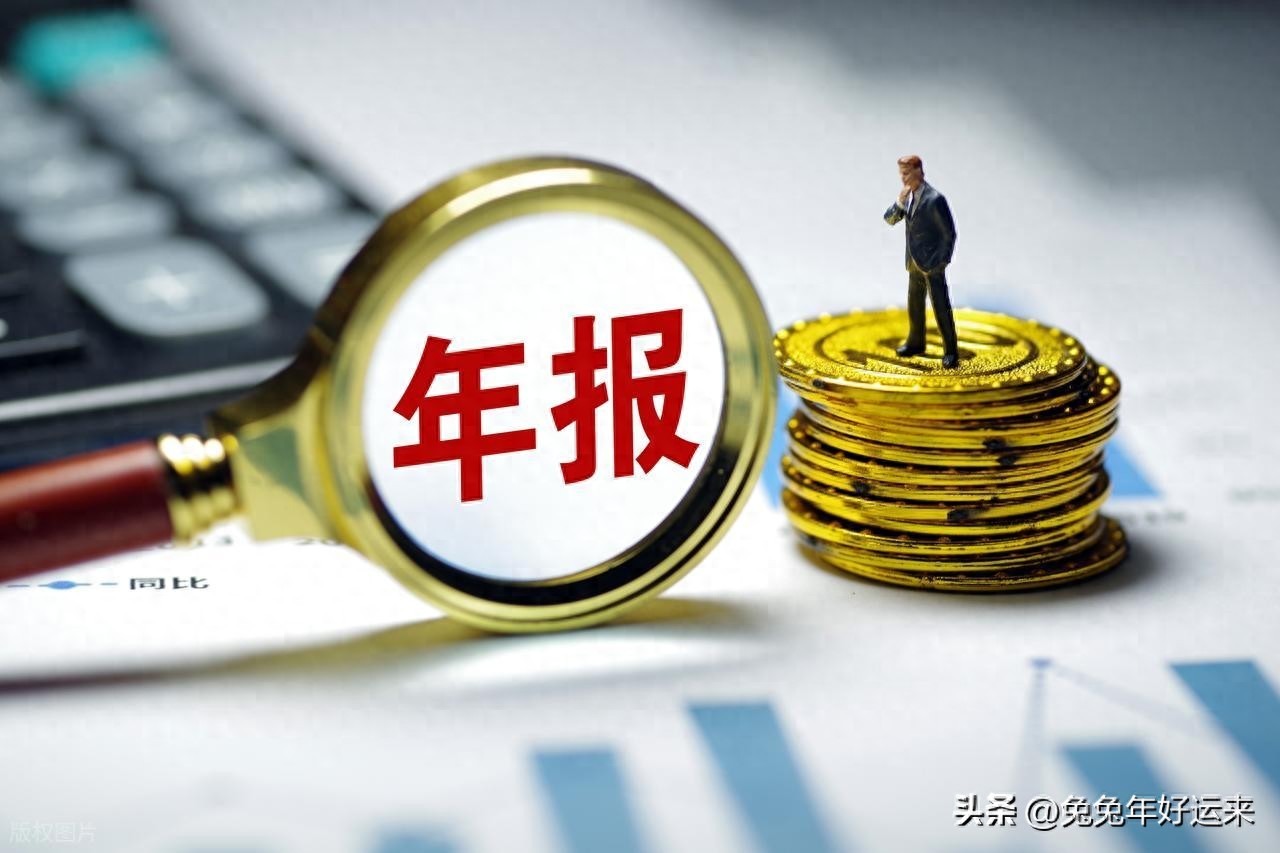 海达股份年报业绩大增，主力资金盯上这些高增长股