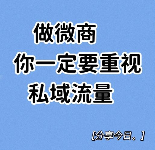 微信用户数据_微商赚钱好项目有什么_年轻人微信好友数