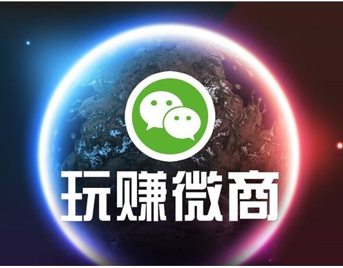 年轻人微信好友数_微商赚钱好项目有什么_微信用户数据